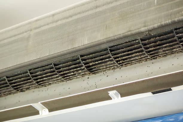 Affordable HVAC Duct Cleaning in Ephraim, UT